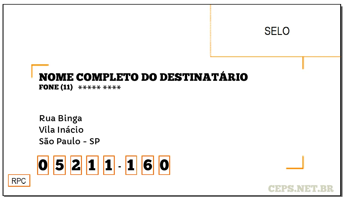 CEP SÃO PAULO - SP, DDD 11, CEP 05211160, RUA BINGA, BAIRRO VILA INÁCIO.